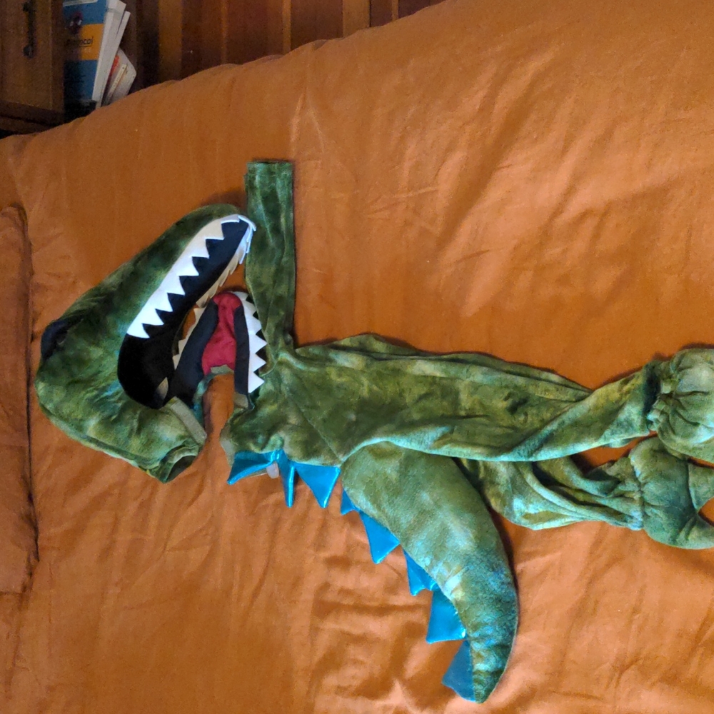 Pottery barn dino costume